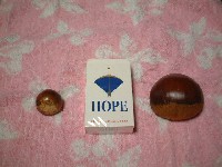 聃HOPE