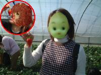 いちご狩り