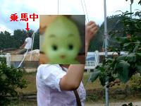 後ろでは乗馬