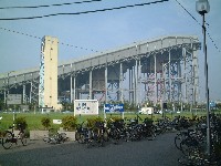 UEX