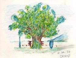 CairnsSketch