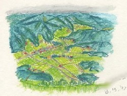 䕽Sketch