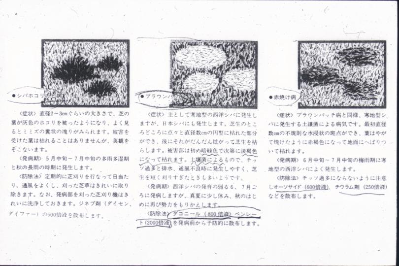 004.JPG