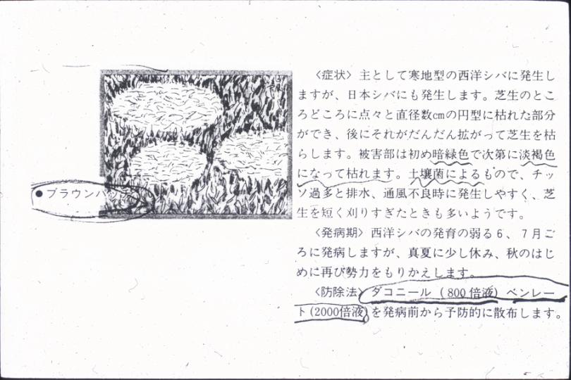 005.JPG
