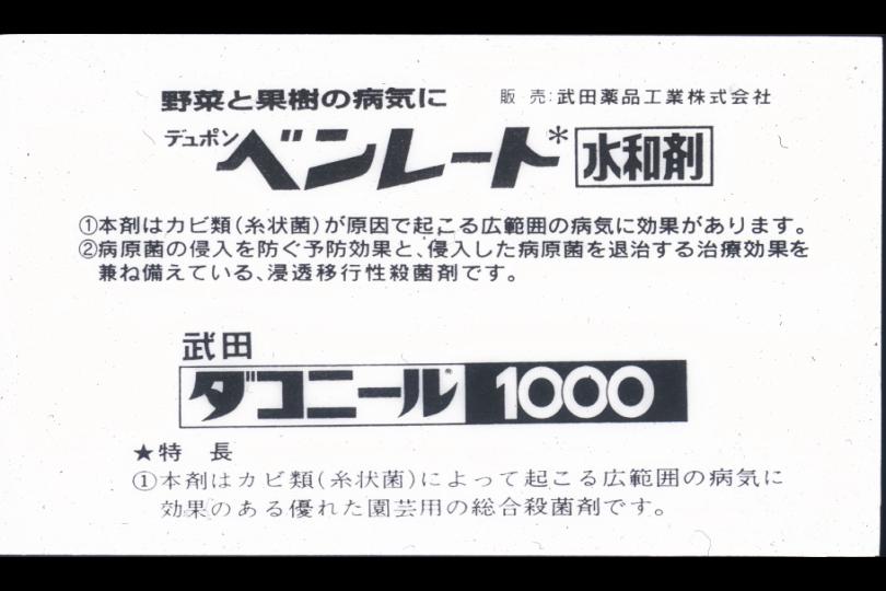 006.JPG