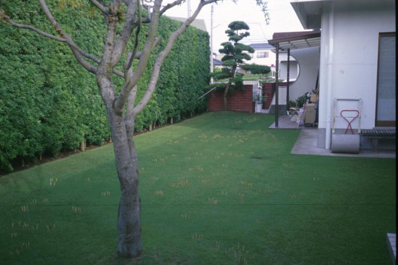 010.JPG