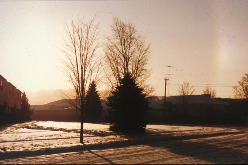 009.JPG