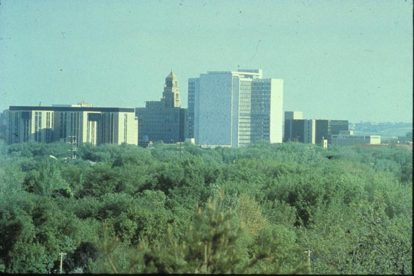 010.JPG