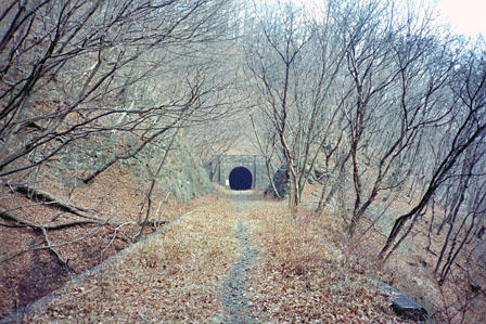 1996年橋梁上トンネル