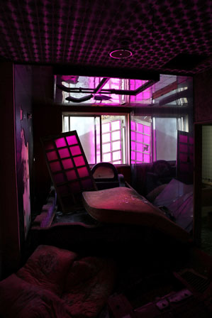 紫の部屋