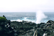 Blow Hole