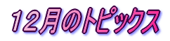PQ̃gsbNX 