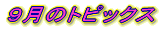 X̃gsbN