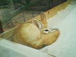 2003年08月29日撮影