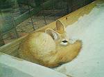 2003年08月29日撮影
