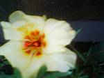 2003年08月12日撮影