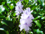 2004年10月30日撮影