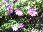 2004年10月31日撮影