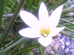 2004年10月31日撮影