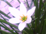 2004年10月31日撮影