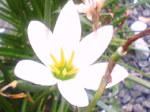 2004年10月31日撮影
