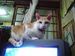 2004年11月12日撮影
