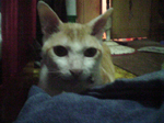 2004年11月03日撮影