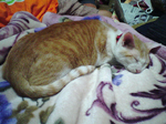 2004年11月04日撮影