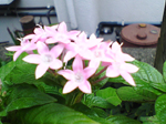 2004年11月06日撮影