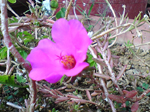 2004年11月06日撮影