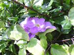 2004年11月06日撮影