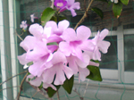 2004年11月06日撮影