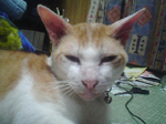 2004年11月08日撮影