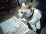 2004N1222Be