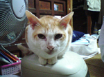 2004N1227Be