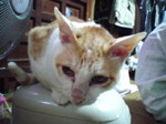 2004N1227Be