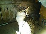 2004年03月21日撮影