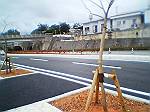 2004年03月30日撮影