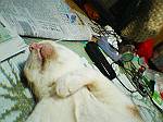 2004N0817Be