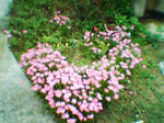 2004年09月11日撮影