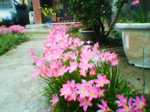 2004年09月11日撮影