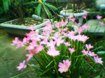 2004年09月11日撮影