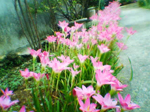 2004年09月11日撮影