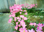 2004年09月11日撮影