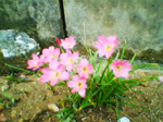 2004年09月11日撮影