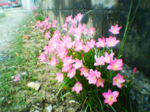 2004年09月11日撮影