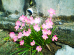 2004年09月11日撮影