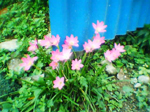 2004年09月11日撮影