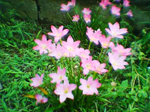 2004年09月11日撮影