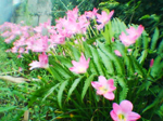 2004年09月11日撮影